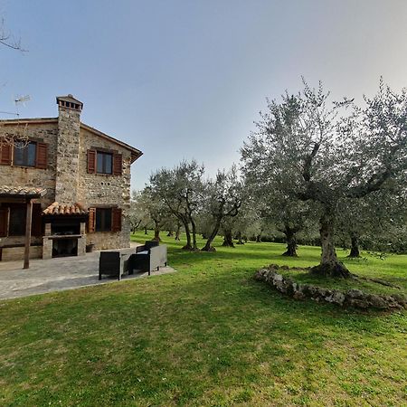 Villa Lisabetta Montecchio  ภายนอก รูปภาพ