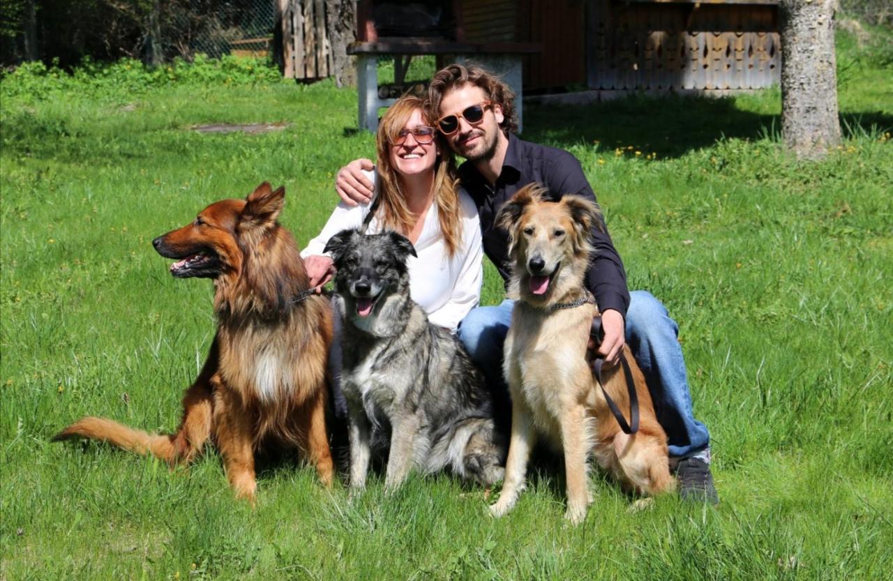 Villa Lisabetta Montecchio  ภายนอก รูปภาพ