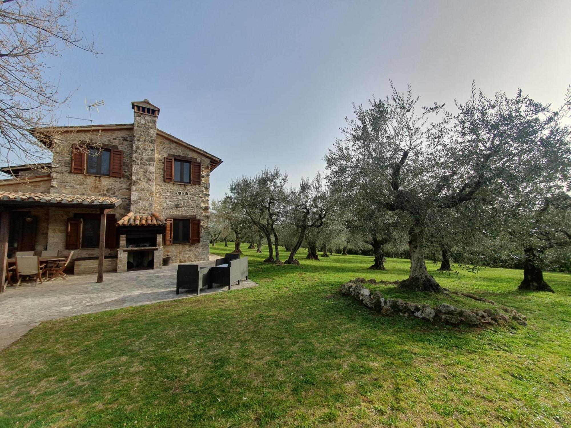 Villa Lisabetta Montecchio  ภายนอก รูปภาพ